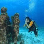 Two Tanks Scuba Diving for Beginners in Cancun - What Makes This Tour Stand Out?