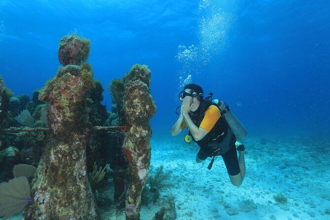 Two Tanks Scuba Diving for Beginners in Cancun - What Makes This Tour Stand Out?