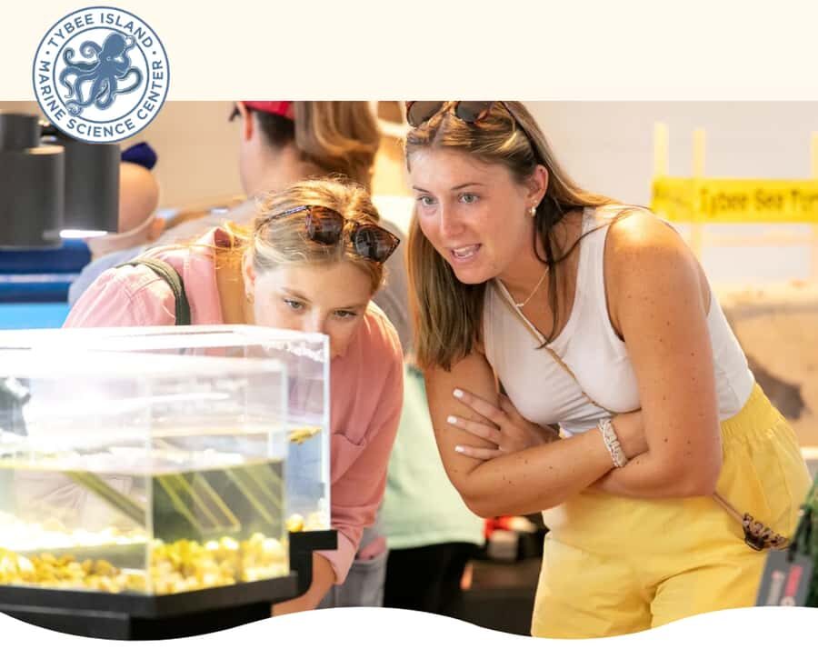 Tybee Island Marine Science Center Entry Ticket - Why This Tour Is Worth Considering