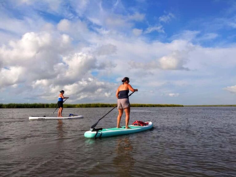 Tybee Island: Paddleboard Tour with optional Yoga Stretch - The Value and Cost Analysis
