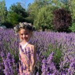 U-Pick Lavender Experience on Bainbridge Island - The Value of the Experience