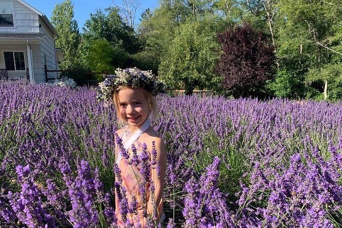 U-Pick Lavender Experience on Bainbridge Island - The Value of the Experience