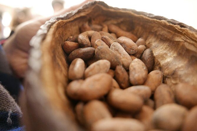 Ultimate Chocolate Tour in Montreal with Included Tastings - Authentic Experiences and Rich Testimonials