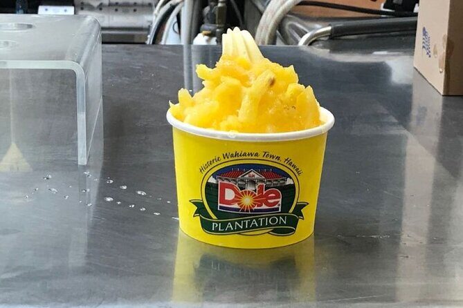 Ultimate Circle Island Experience: Beauty and the Feast - Starting the Day: Convenient Pickup and Early Start