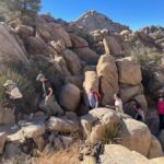Ultimate Joshua Tree National Park Private Group Adventure - What Makes This Tour Stand Out