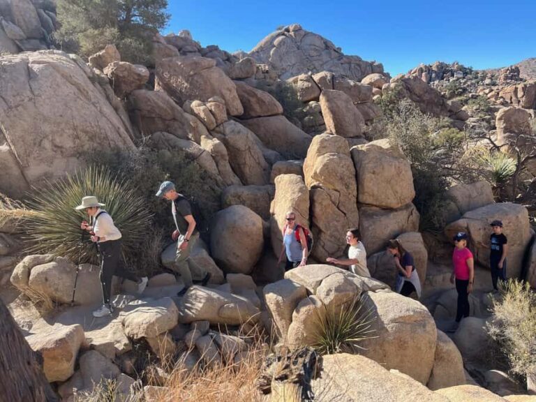 Ultimate Joshua Tree National Park Private Group Adventure - What Makes This Tour Stand Out