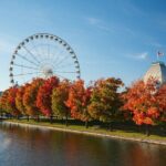 Ultimate Private Montréal City Tour: Culture, Views, Local Flavor - Who Will Love This Tour?