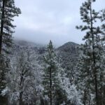 Ultimate Snowplay Adventure at Mount Charleston - Who Will Love This Tour?