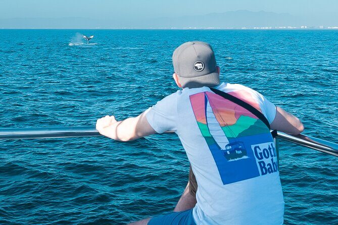 Ultimate Whale Watching Experience All-Inclusive - The Value Proposition