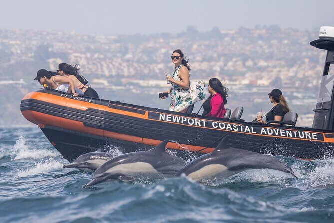 Ultimate Whale Watching Tour aboard the SuperRib: 24 People Max - The Experience of the Boat and Its Advantages