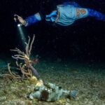 Under the Stars Twilight Snorkel and Seaside Dinner at Money Bar - A Closer Look at the Experience