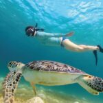 Underground Cenote River and Akumal Turtle Search - Who Will Love This Experience?