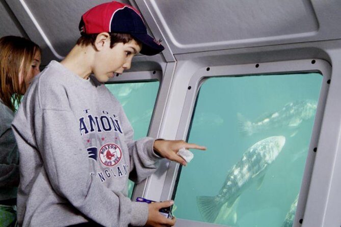 Undersea Expedition: Catalina Island Tour - Value and Practical Tips