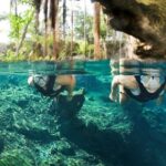 Underwater Maya Snorkeling Tour - Why This Tour Might Be Perfect for You