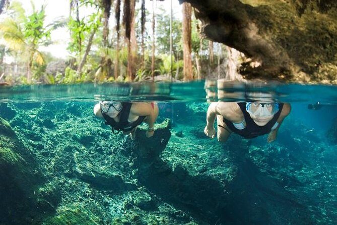 Underwater Maya Snorkeling Tour - Why This Tour Might Be Perfect for You