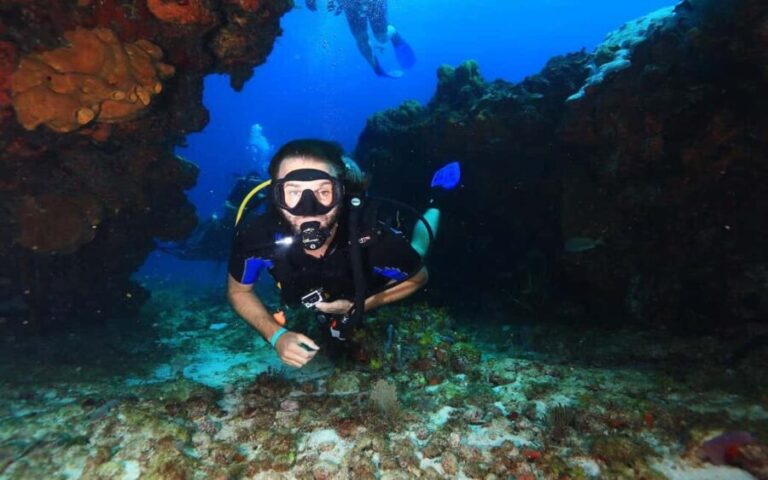 Underwater Museum Musa : SCUBA DIVING FOR BEGINNERS - Who this experience is best for