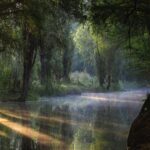 UNESCO Sites Discovery Tour in Mexico City - Authentic Experiences and Practical Details