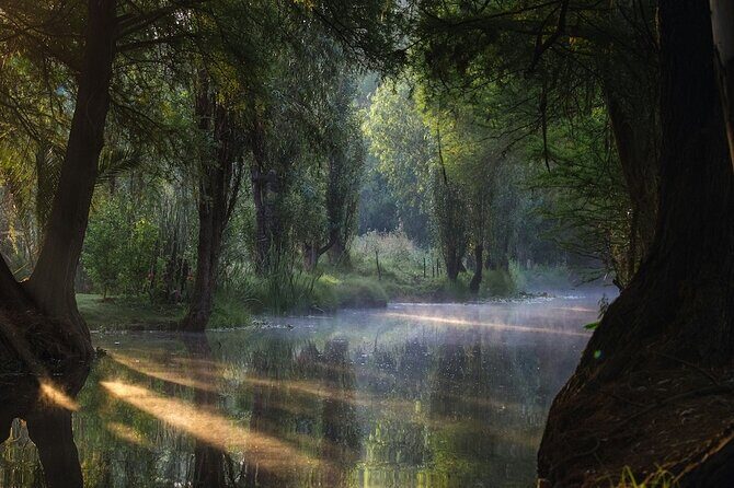 UNESCO Sites Discovery Tour in Mexico City - Authentic Experiences and Practical Details