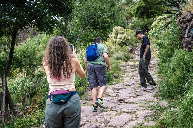 Unique cablecar experience, pulque tasting &unbeatable views - Transportation and Group Dynamics