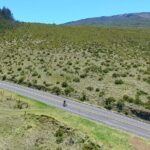 UPCOUNTRY Wednesday Haleakala Downhill Bike Ride w/Maui Sunriders - A Deep Dive into the Tour Experience