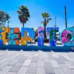 Urban Art Tour in Tepito - Practical Details and Logistics