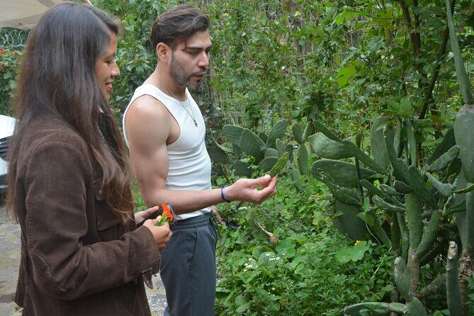 Urban Orchard in Desierto de los Leones in Mexico City - Why This Tour Stands Out