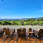 USA/California/Napa: Private Wine Tour for up to 6 guests - Who Is This Tour Best For?