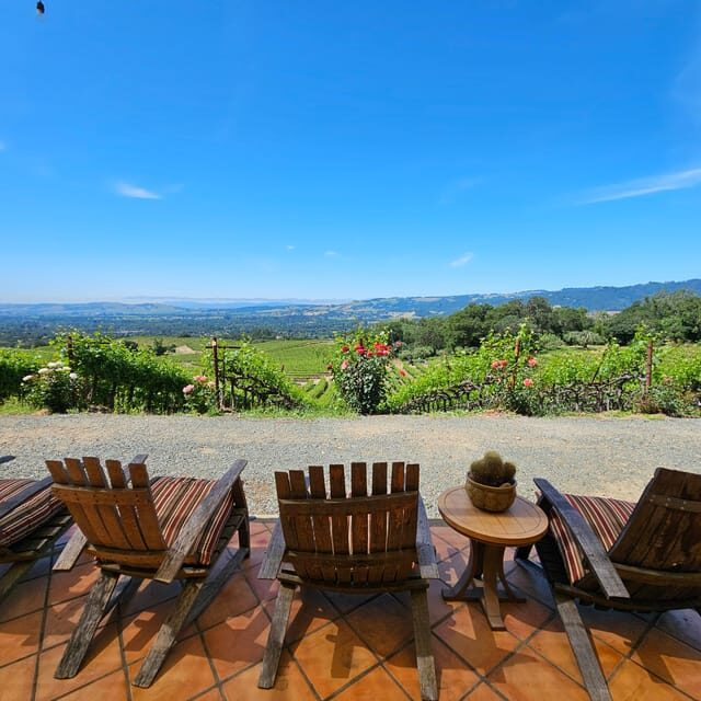 USA/California/Napa: Private Wine Tour for up to 6 guests - Who Is This Tour Best For?