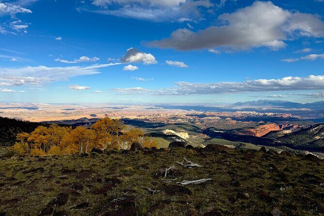 UTV tour to Cathedral Valley Overlook at 9,500 feet - The Experience: Pros and Cons
