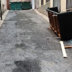 Valentine's Day Garbage and Rats in NYC Walking Tour - What to Expect from Each Stop