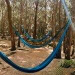 Valladolid: day pass to the Secret Mayan Cenote with cenote, pool, and jungle - Practical Tips for Visiting