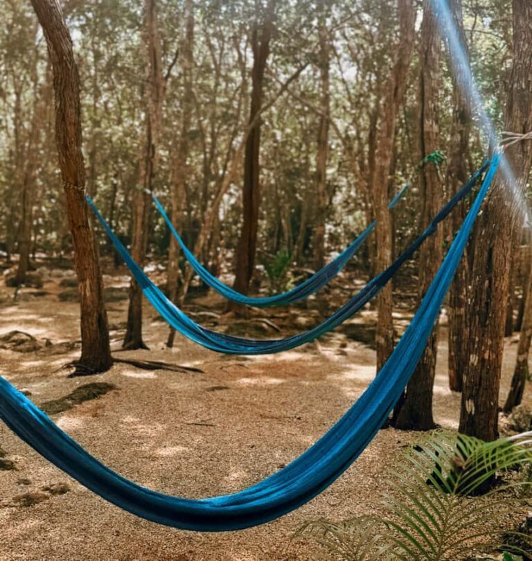 Valladolid: day pass to the Secret Mayan Cenote with cenote, pool, and jungle - Practical Tips for Visiting