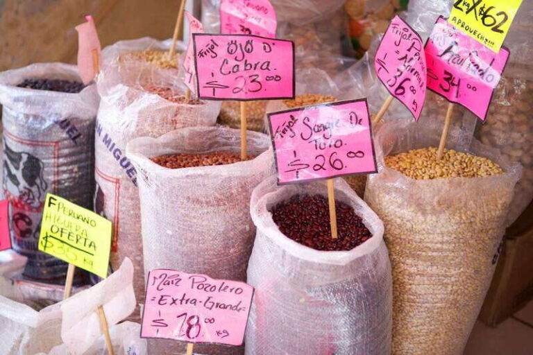 Vallarta: 3.5-Hour Pitillal Food Tour - An In-Depth Look at the Pitillal Food Tour