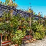 Vallarta Botanical Garden: Private Day Trip of Flora & Fauna - A Detailed Breakdown of the Itinerary