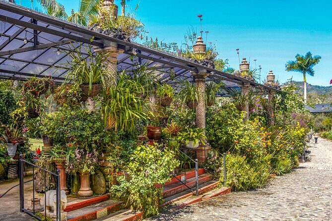 Vallarta Botanical Garden: Private Day Trip of Flora & Fauna - A Detailed Breakdown of the Itinerary