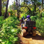 Valle de Bravo: ATV Tour - Overview of the Experience