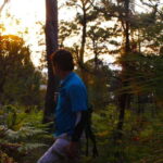 Valle de Bravo: Magical night at the forest - What Are the Key Highlights?