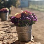 Valle de Guadalupe COUPLES wine tasting for 2 - Who Will Love This Tour?