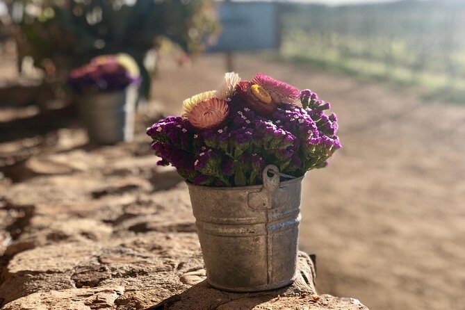 Valle de Guadalupe COUPLES wine tasting for 2 - Who Will Love This Tour?