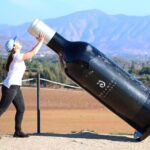 Valle de Guadalupe Wine Experience: Wine Tastings Included - A Deep Dive into the Valle de Guadalupe Wine Experience