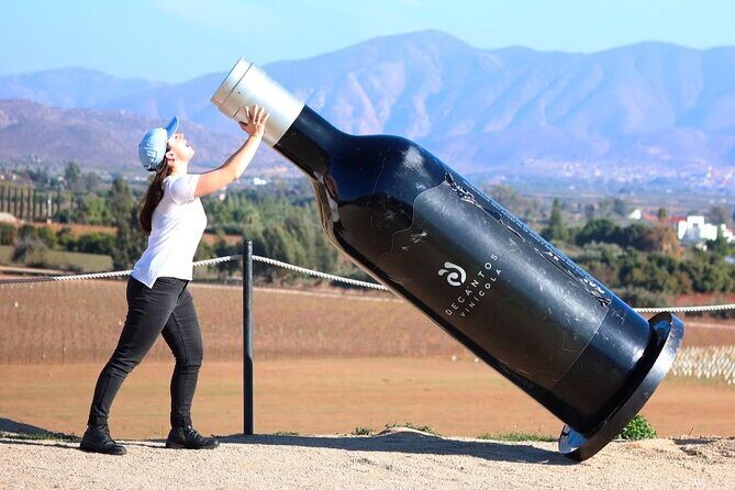 Valle de Guadalupe Wine Experience: Wine Tastings Included - A Deep Dive into the Valle de Guadalupe Wine Experience