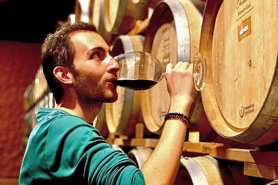 Valle de Guadalupe: Wine Tasting and Wagon Tour - Exploring the Valle de Guadalupe: What to Expect