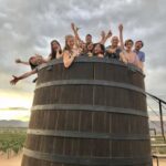 Valle de Guadalupe Wine Tasting Tour - Why This Tour Stands Out