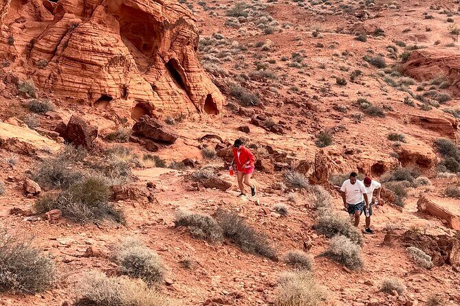 Valley of fire and Mojave Desert Tour from Las Vegas - Exploring Valley of Fire State Park