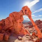 Valley of Fire, Seven Magic Mountains & Vegas Sign Tour - Who Will Love This Tour?