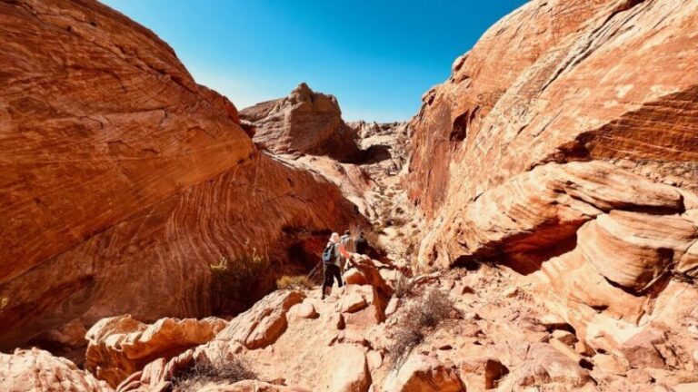 Valley of Fire VIP Small Group Tour From Las Vegas - Who Should Consider This Tour