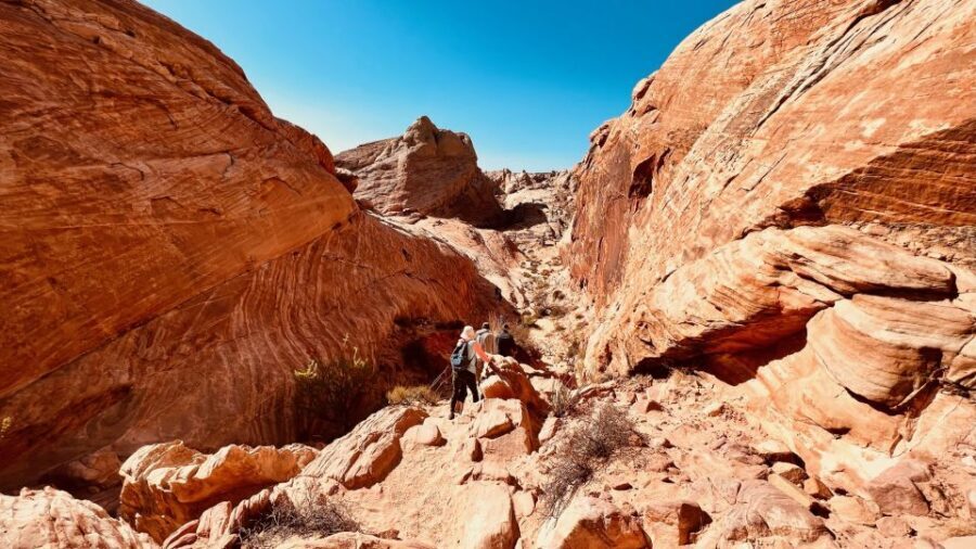 Valley of Fire VIP Small Group Tour From Las Vegas - Who Should Consider This Tour