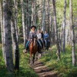 Valley Vista 1.5 Hour Horseback Trail Ride in Kananaskis - The Value of This Experience