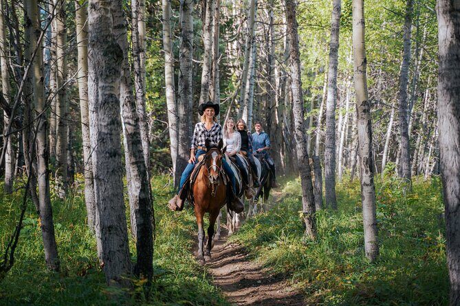 Valley Vista 1.5 Hour Horseback Trail Ride in Kananaskis - The Value of This Experience