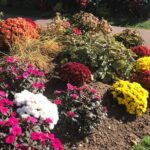 Valley Wine Tour. You will buy your own wine and meals. - The Sum Up: Is the Valley Wine Tour Worth It?